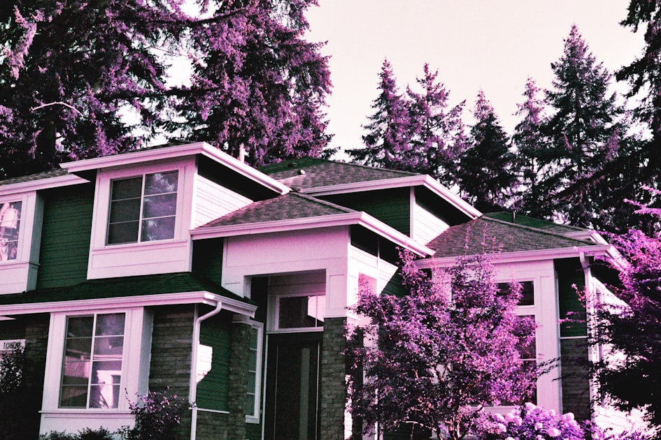 The Luxury Real Estate Market